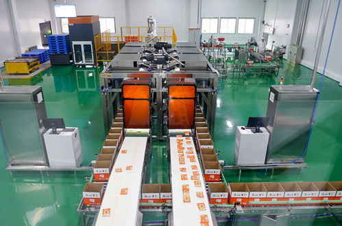 重庆涪陵 智能制造技术助力产业升级